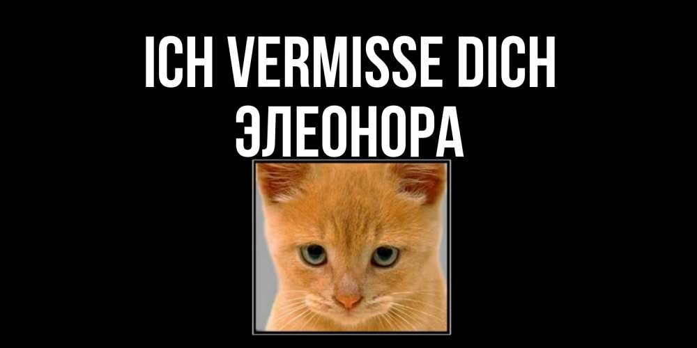 Открытка на каждый день с именем, Элеонора Ich vermisse dich открытки рыжий котенок скучает по тебе Прикольная открытка с пожеланием онлайн скачать бесплатно 