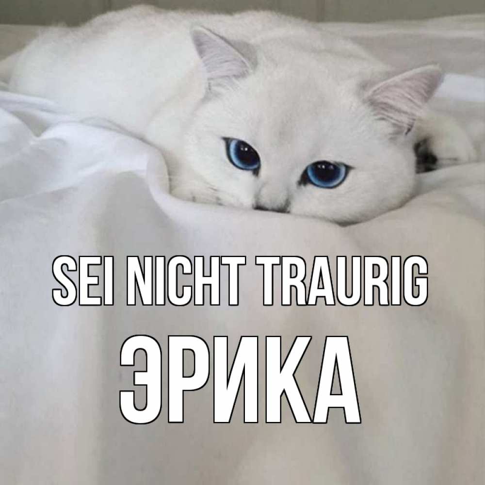 Открытка на каждый день с именем, Эрика Sei nicht traurig белый кот с голубыми глазами на белоснежной кровати Прикольная открытка с пожеланием онлайн скачать бесплатно 
