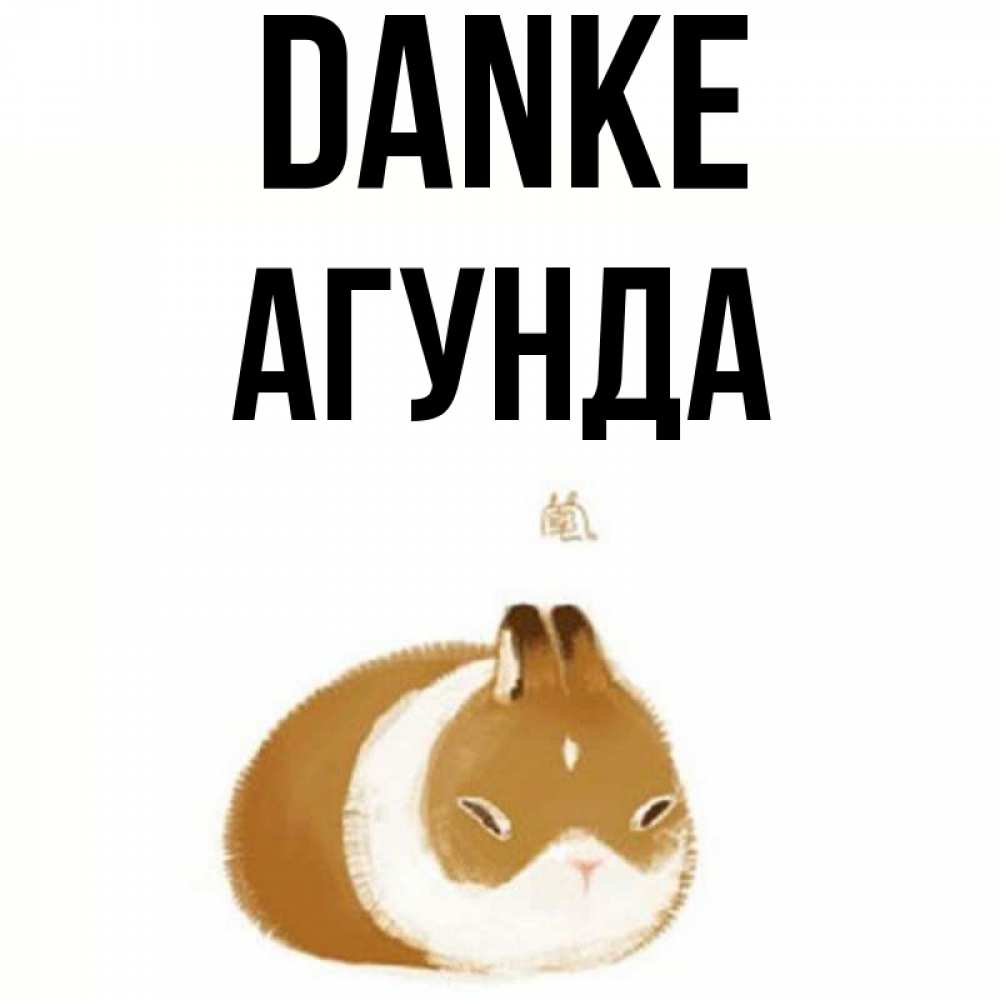 Открытка на каждый день с именем, Агунда Danke коричнево белый домашний питомец Прикольная открытка с пожеланием онлайн скачать бесплатно 