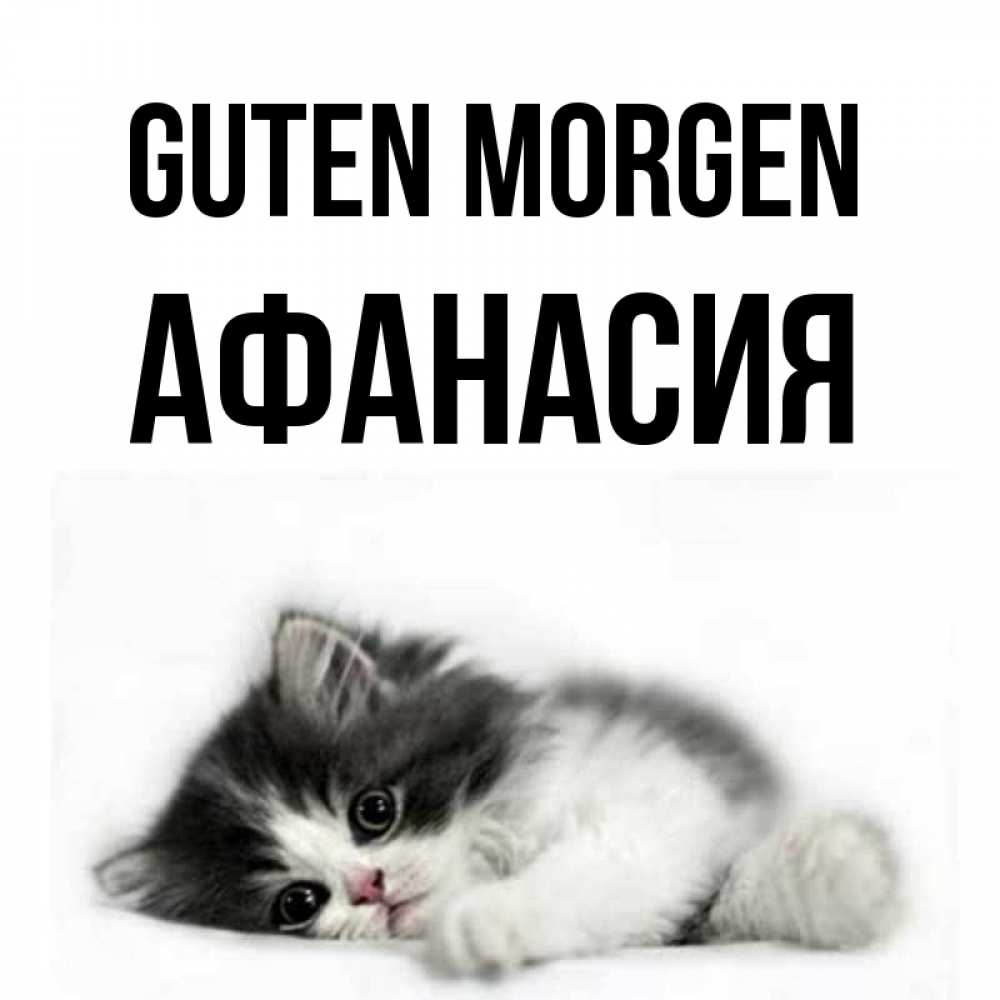 Открытка на каждый день с именем, Афанасия Guten Morgen кот лапки Прикольная открытка с пожеланием онлайн скачать бесплатно 