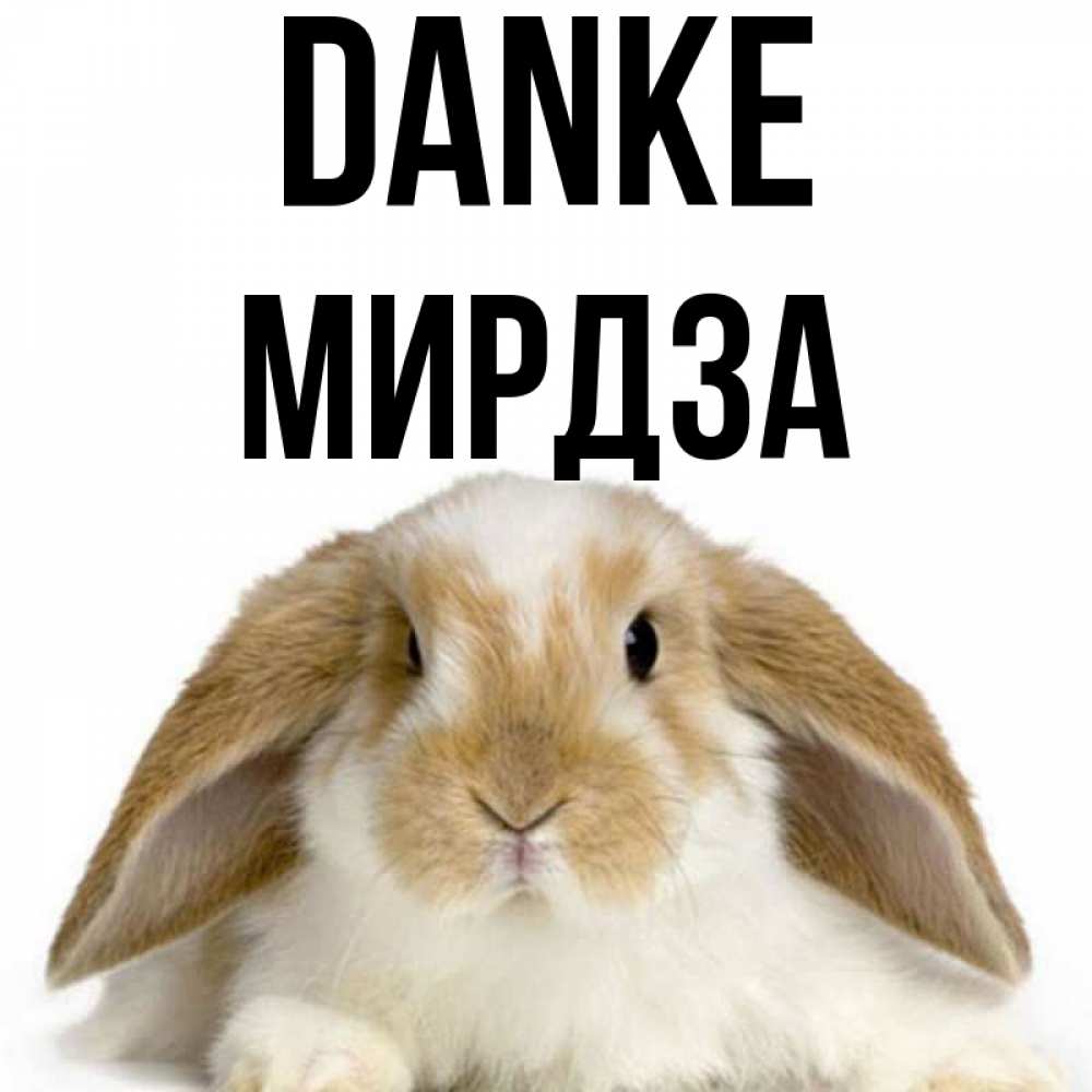 Открытка на каждый день с именем, Мирдза Danke коричнево белый заяц Прикольная открытка с пожеланием онлайн скачать бесплатно 
