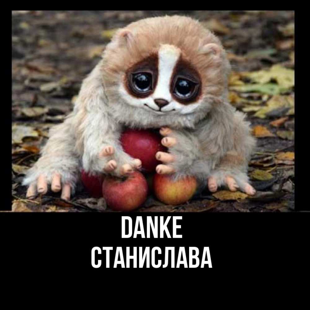 Открытка на каждый день с именем, Станислава Danke прикольное животное Прикольная открытка с пожеланием онлайн скачать бесплатно 