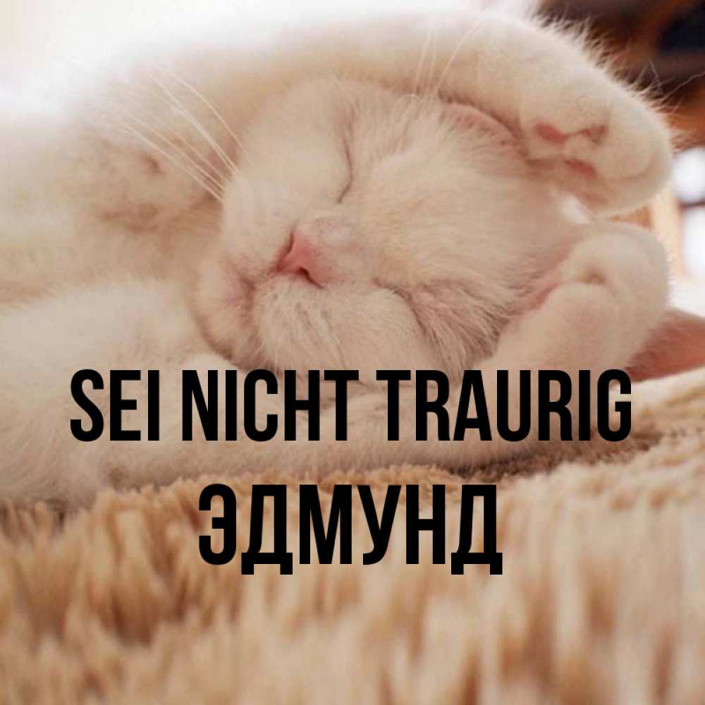 Открытка на каждый день с именем, Эдмунд Sei nicht traurig Котенок спит Прикольная открытка с пожеланием онлайн скачать бесплатно 