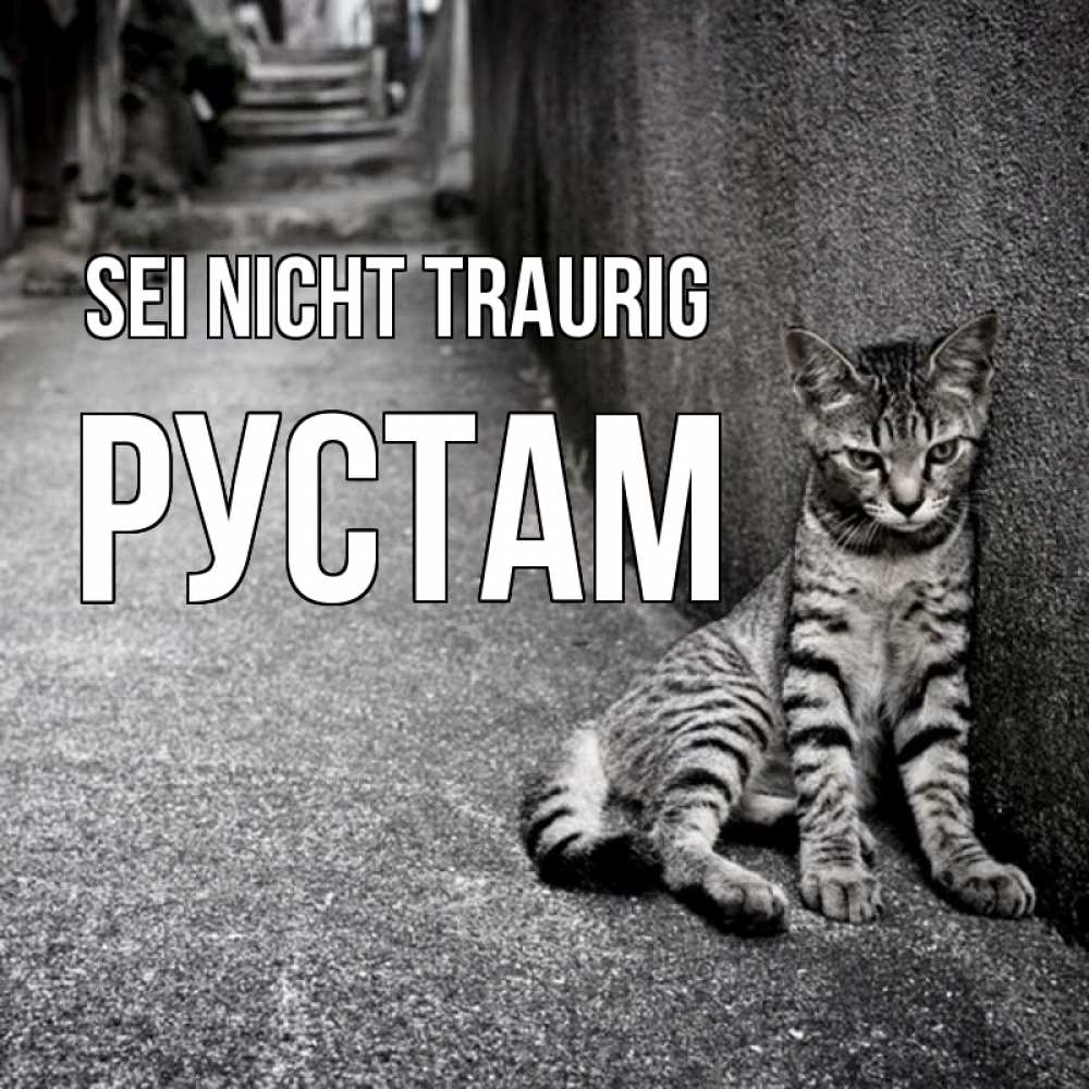 Открытка на каждый день с именем, Рустам Sei nicht traurig скучающий котик Прикольная открытка с пожеланием онлайн скачать бесплатно 