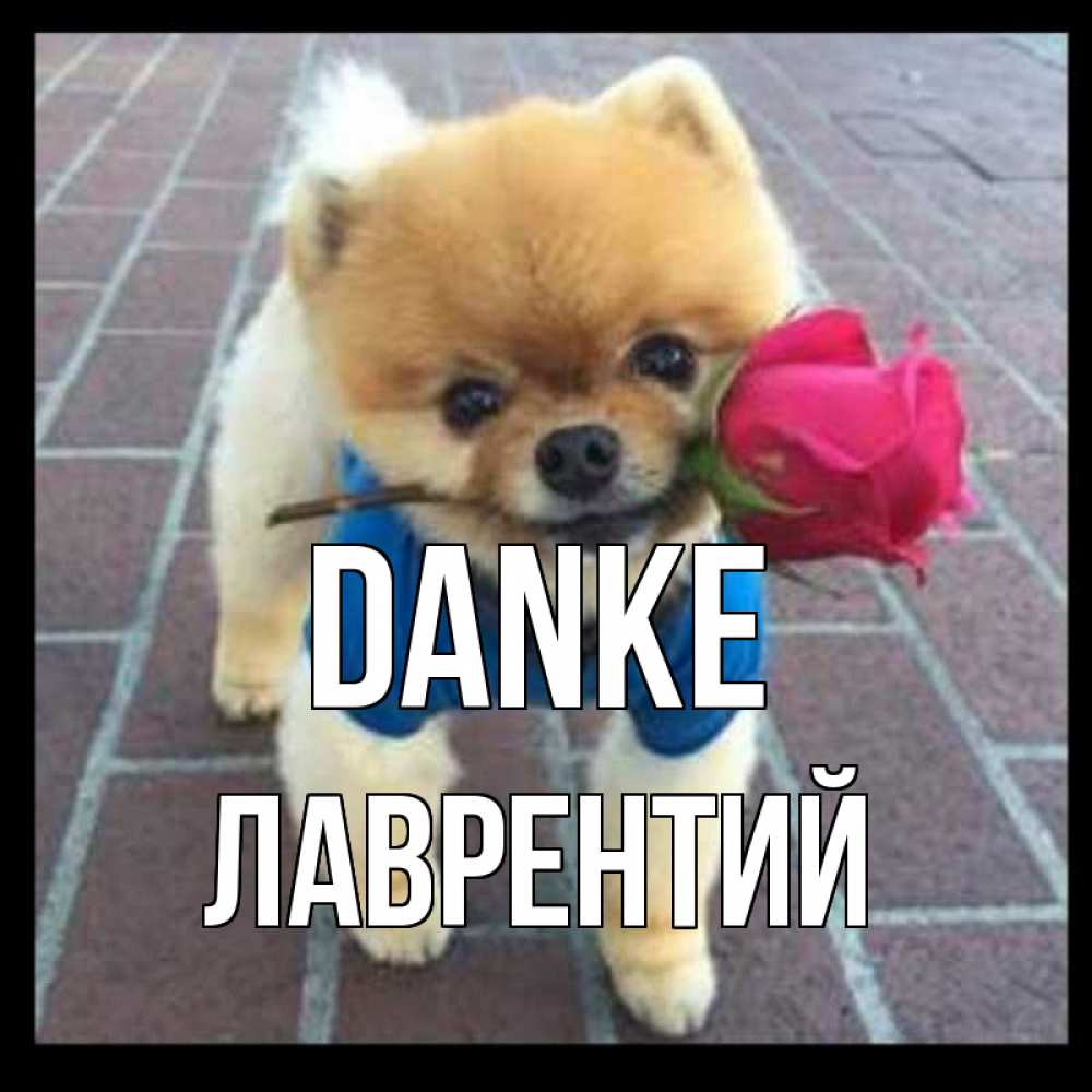 Открытка на каждый день с именем, Лаврентий Danke спасибо и дарю тебе цветок Прикольная открытка с пожеланием онлайн скачать бесплатно 