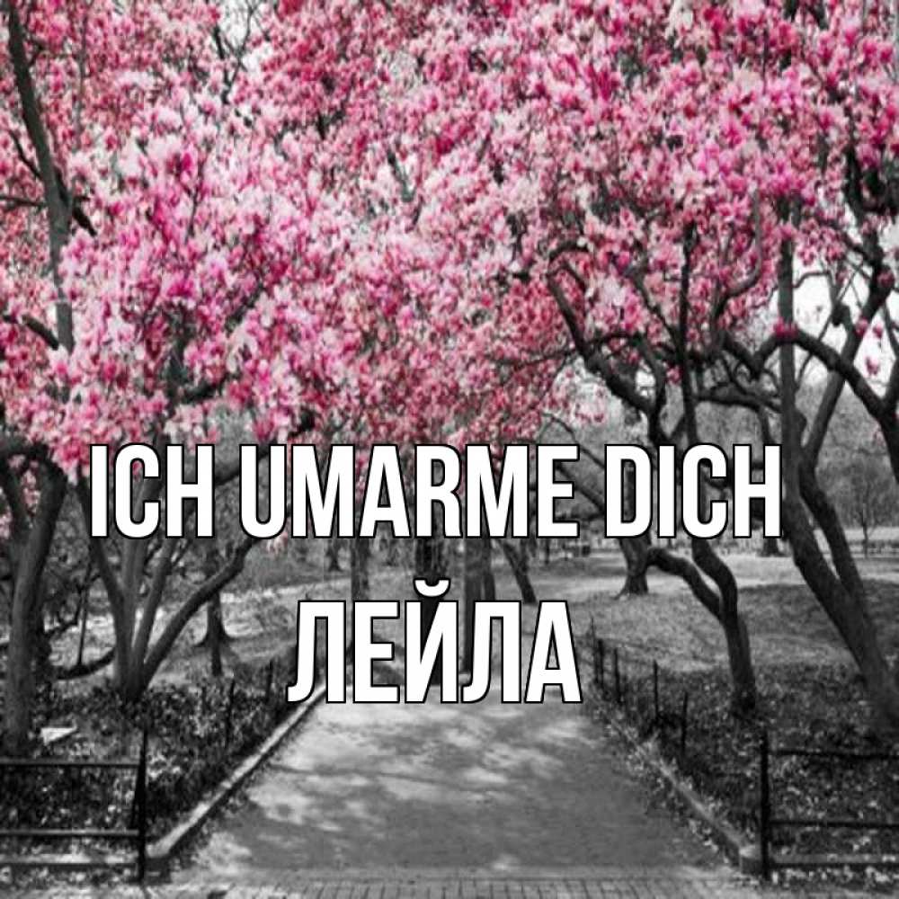 Открытка на каждый день с именем, Лейла Ich umarme dich обработанное фото Прикольная открытка с пожеланием онлайн скачать бесплатно 
