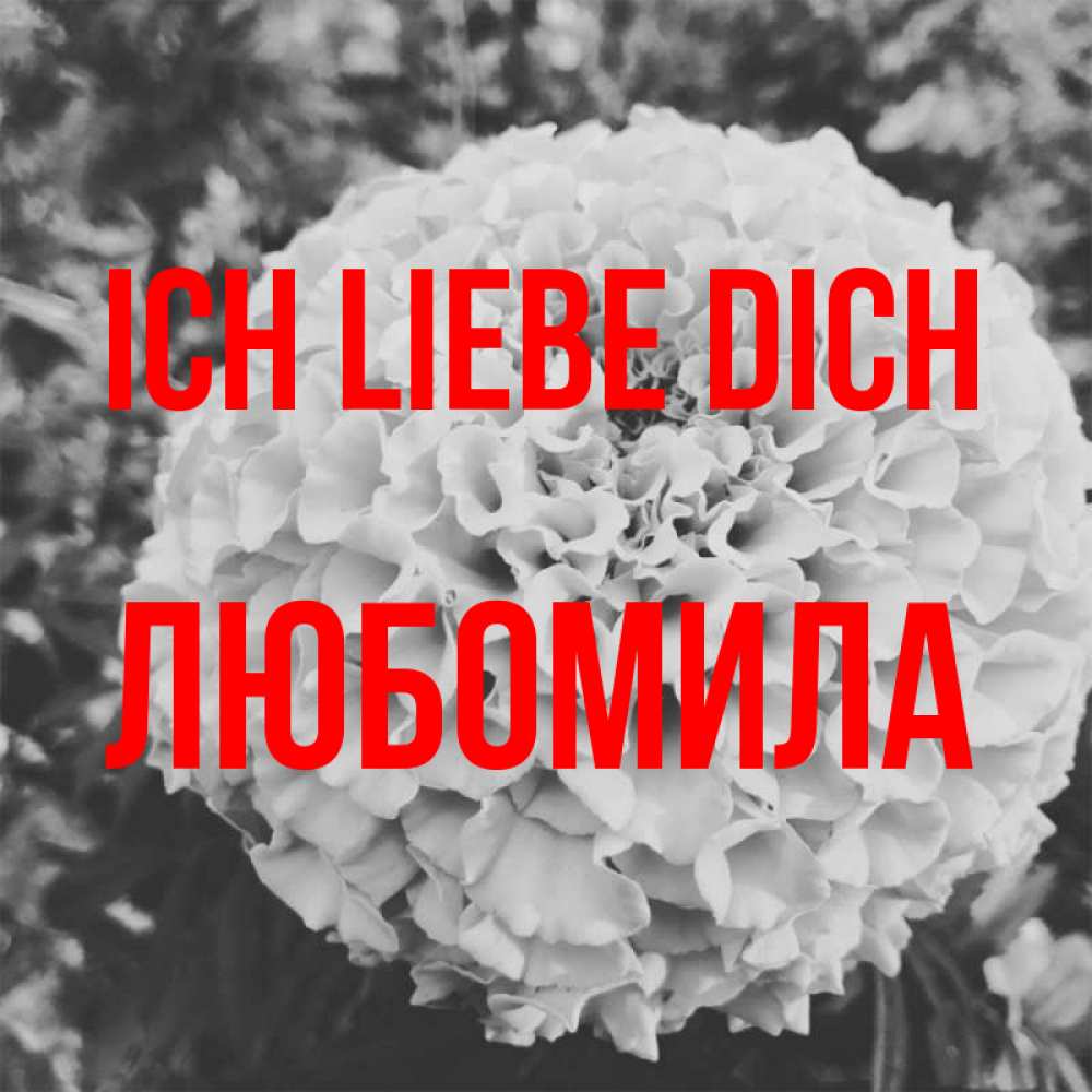 Открытка на каждый день с именем, Любомила Ich liebe dich подпись Прикольная открытка с пожеланием онлайн скачать бесплатно 