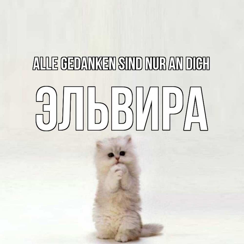 Открытка на каждый день с именем, Эльвира Alle Gedanken sind nur an dich кот стоит на задних лапах Прикольная открытка с пожеланием онлайн скачать бесплатно 
