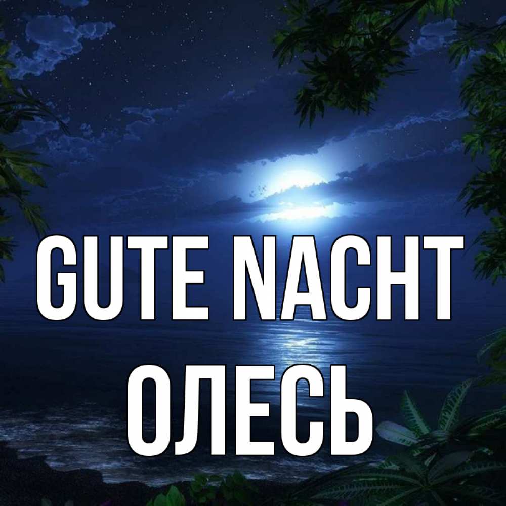 Открытка на каждый день с именем, Олесь Gute Nacht тропический остров Прикольная открытка с пожеланием онлайн скачать бесплатно 