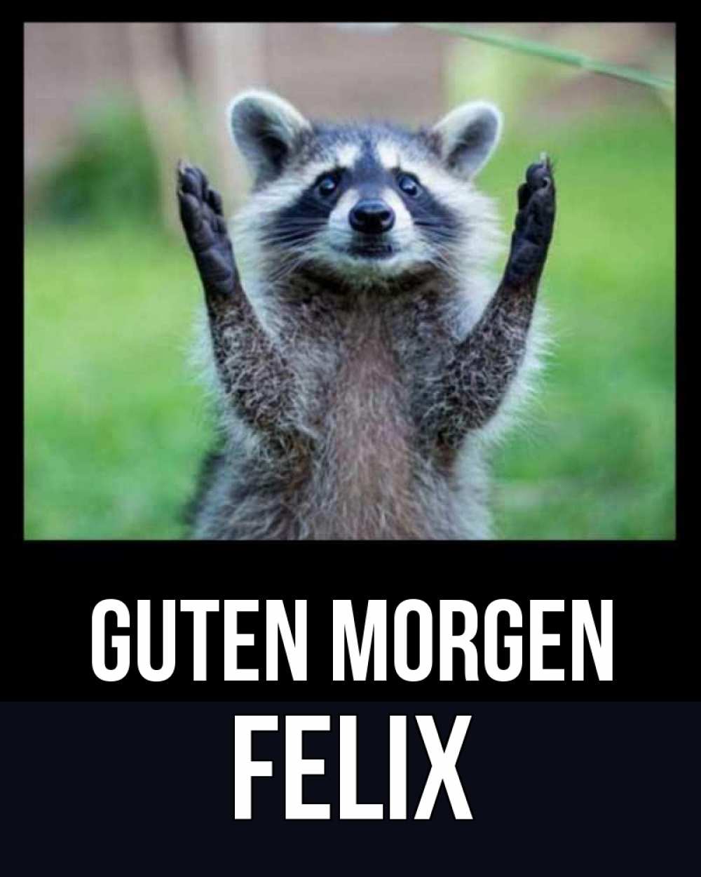 Открытка на каждый день с именем, Felix Guten Morgen хорошее настроение утречком Прикольная открытка с пожеланием онлайн скачать бесплатно 