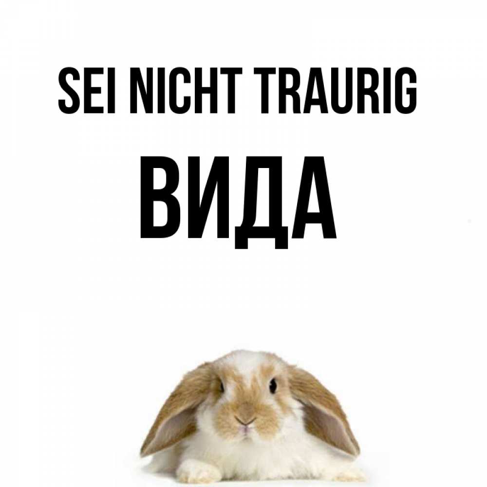 Открытка на каждый день с именем, Вида Sei nicht traurig коричнево белый заяц с большими ушками Прикольная открытка с пожеланием онлайн скачать бесплатно 