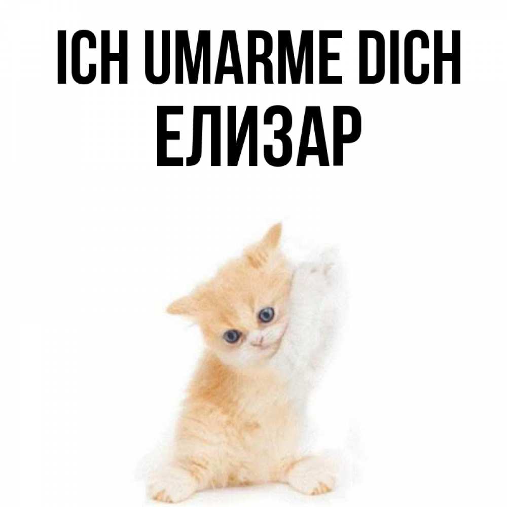 Открытка на каждый день с именем, Елизар Ich umarme dich я хочу очень скорее обнимаешек Прикольная открытка с пожеланием онлайн скачать бесплатно 