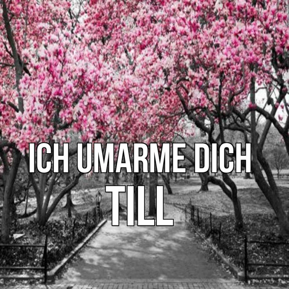 Открытка на каждый день с именем, Till Ich umarme dich обработанное фото Прикольная открытка с пожеланием онлайн скачать бесплатно 