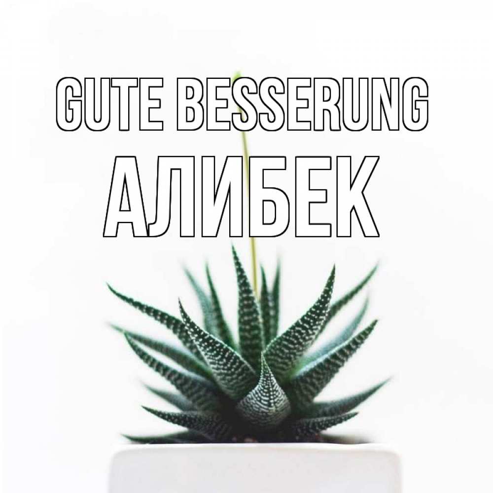 Открытка на каждый день с именем, Алибек Gute Besserung короче это непонятная колючка Прикольная открытка с пожеланием онлайн скачать бесплатно 