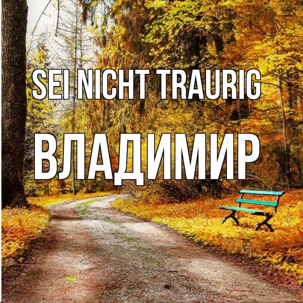 Открытка на каждый день с именем, Владимир Sei nicht traurig зеленая лавочка Прикольная открытка с пожеланием онлайн скачать бесплатно 