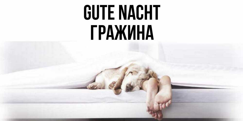 Открытка на каждый день с именем, Гражина Gute Nacht кровать с собакой пожелание сладких снов и спокойной ночи Прикольная открытка с пожеланием онлайн скачать бесплатно 