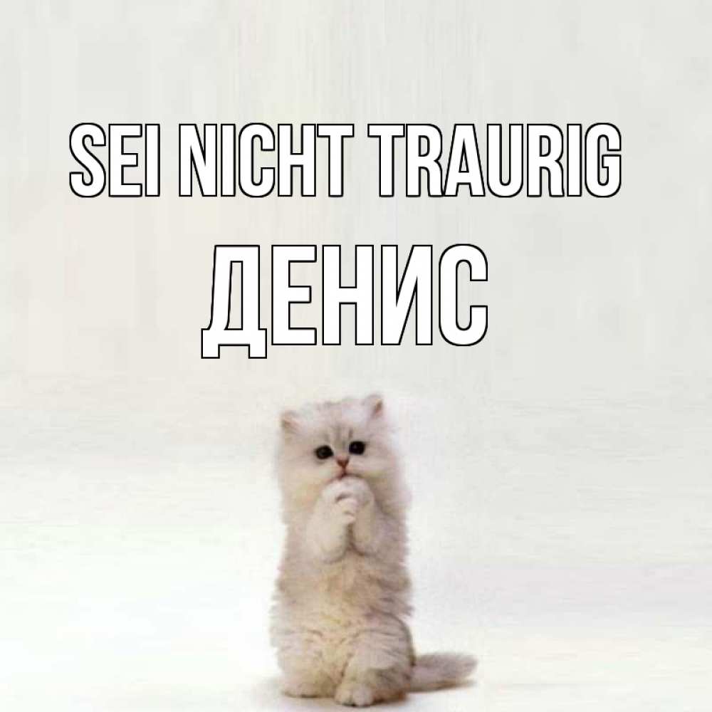 Открытка на каждый день с именем, Денис Sei nicht traurig грустный кот Прикольная открытка с пожеланием онлайн скачать бесплатно 