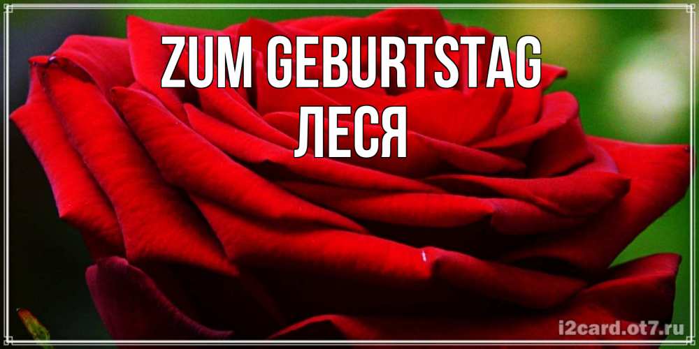 Открытка на каждый день с именем, Леся Zum Geburtstag розочка очень красивая Прикольная открытка с пожеланием онлайн скачать бесплатно 
