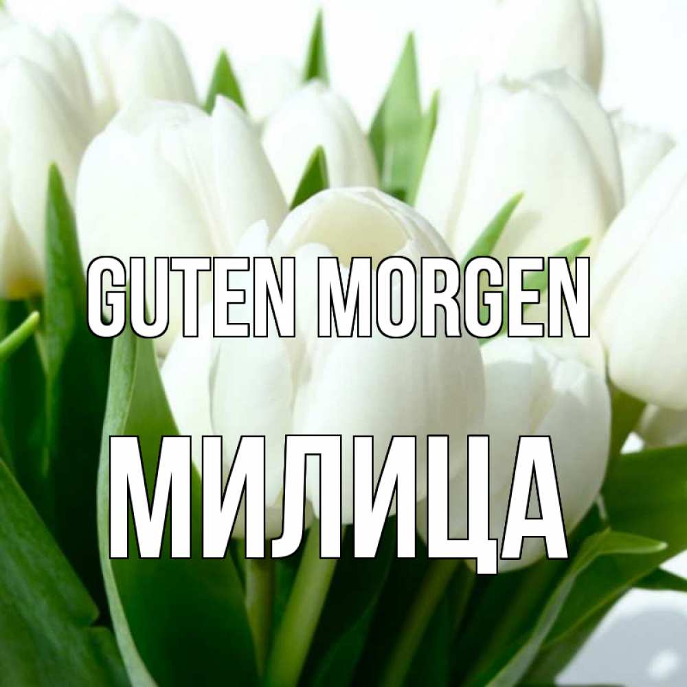 Открытка на каждый день с именем, Милица Guten Morgen открытки на каждый день по именам Прикольная открытка с пожеланием онлайн скачать бесплатно 
