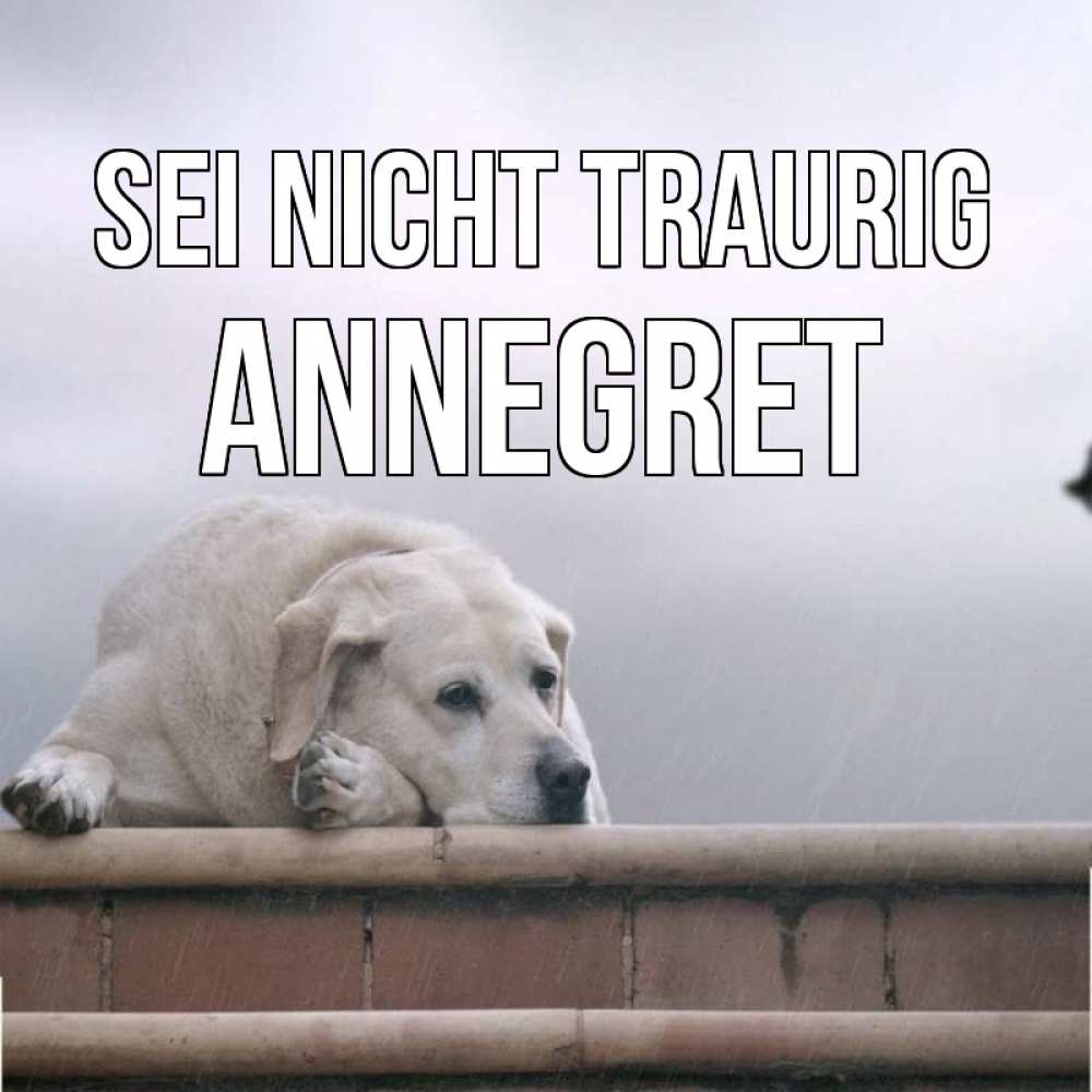Открытка на каждый день с именем, Annegret Sei nicht traurig белый пес 1 Прикольная открытка с пожеланием онлайн скачать бесплатно 