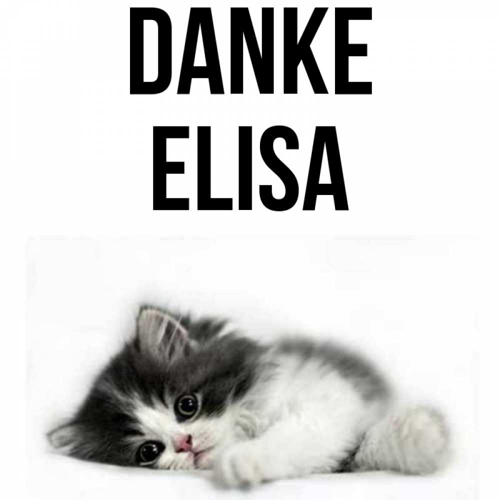 Открытка на каждый день с именем, Elisa Danke черный и белый кот Прикольная открытка с пожеланием онлайн скачать бесплатно 