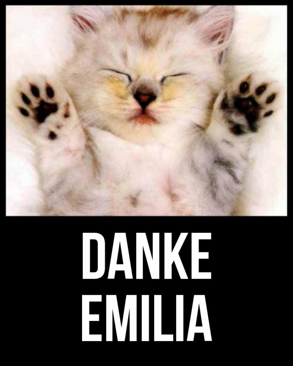 Открытка на каждый день с именем, Emilia Danke маленький котенок Прикольная открытка с пожеланием онлайн скачать бесплатно 