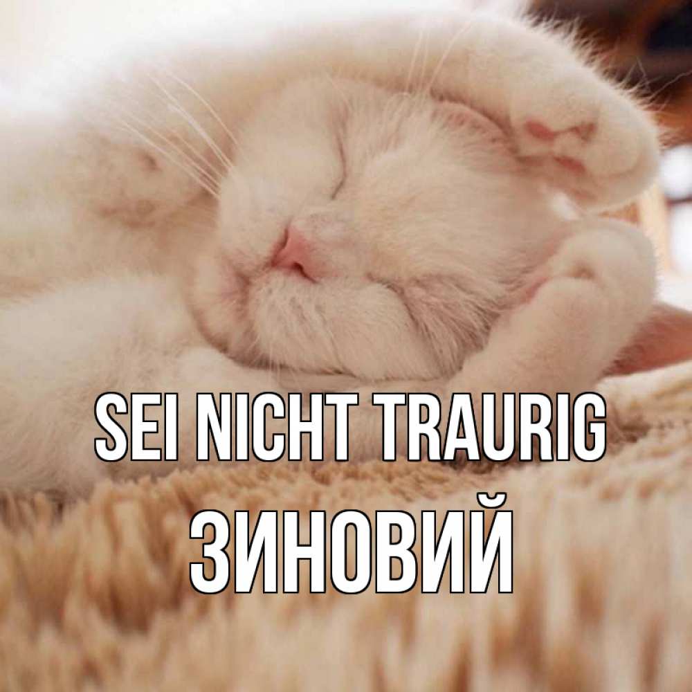 Открытка на каждый день с именем, Зиновий Sei nicht traurig белый кот Прикольная открытка с пожеланием онлайн скачать бесплатно 