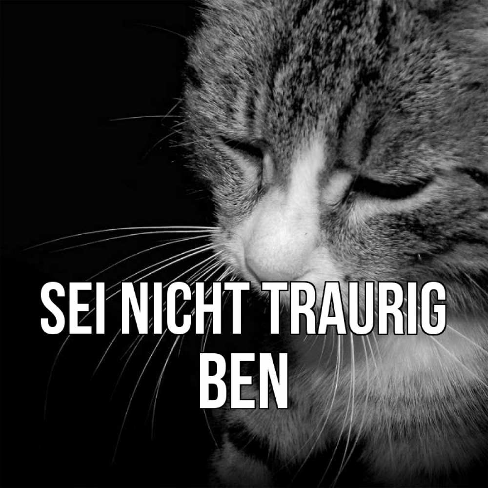 Открытка на каждый день с именем, Ben Sei nicht traurig грустный котик Прикольная открытка с пожеланием онлайн скачать бесплатно 