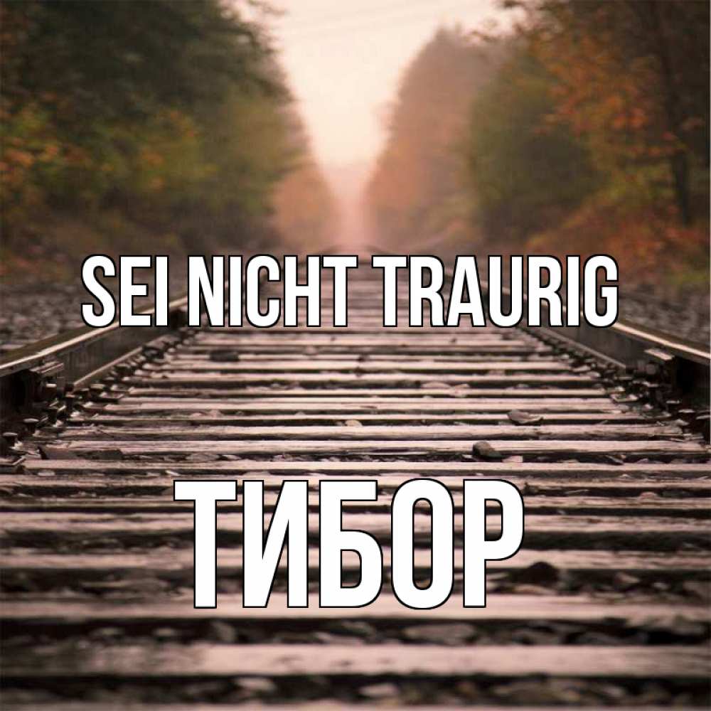 Открытка на каждый день с именем, Тибор Sei nicht traurig лес и железная дорога Прикольная открытка с пожеланием онлайн скачать бесплатно 