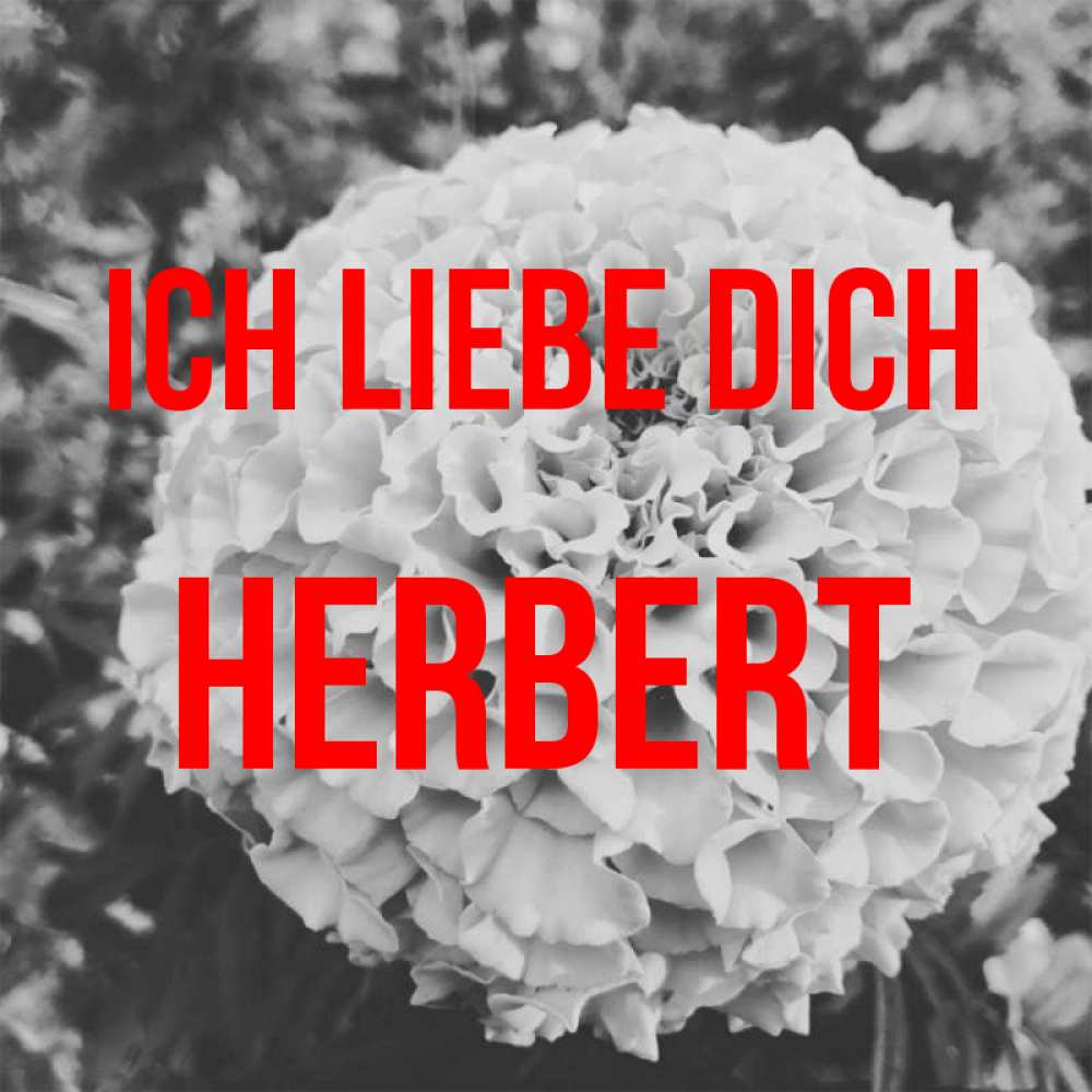 Открытка на каждый день с именем, Herbert Ich liebe dich подпись Прикольная открытка с пожеланием онлайн скачать бесплатно 