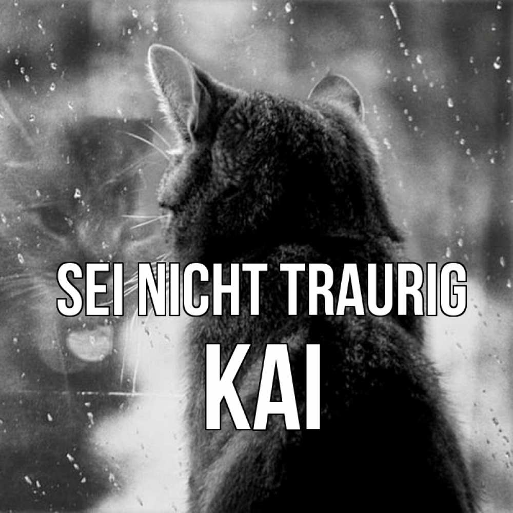 Открытка на каждый день с именем, Kai Sei nicht traurig отражение кота 1 Прикольная открытка с пожеланием онлайн скачать бесплатно 