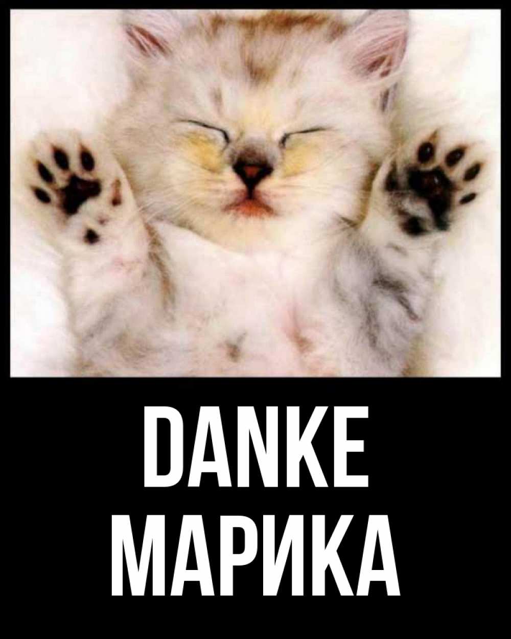 Открытка на каждый день с именем, Марика Danke маленький котенок Прикольная открытка с пожеланием онлайн скачать бесплатно 