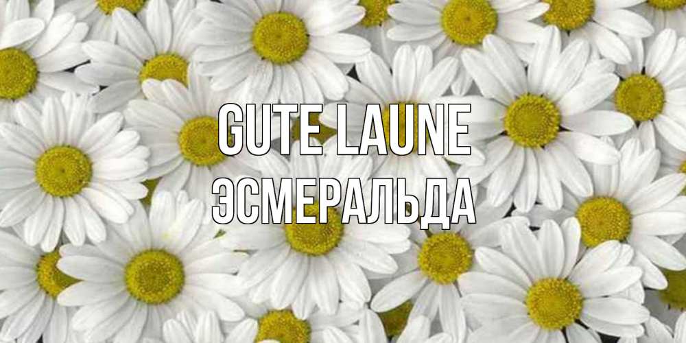 Открытка на каждый день с именем, Эсмеральда Gute Laune поляна ромашек Прикольная открытка с пожеланием онлайн скачать бесплатно 