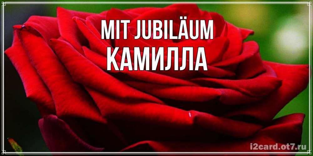 Открытка на каждый день с именем, Камилла Mit Jubiläum розочка очень красивая Прикольная открытка с пожеланием онлайн скачать бесплатно 
