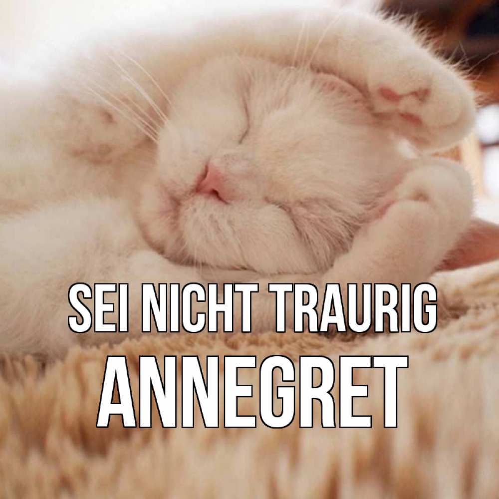 Открытка на каждый день с именем, Annegret Sei nicht traurig белый кот Прикольная открытка с пожеланием онлайн скачать бесплатно 