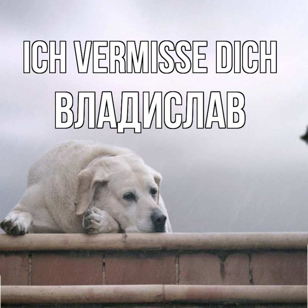 Открытка на каждый день с именем, Владислав Ich vermisse dich ждет Прикольная открытка с пожеланием онлайн скачать бесплатно 