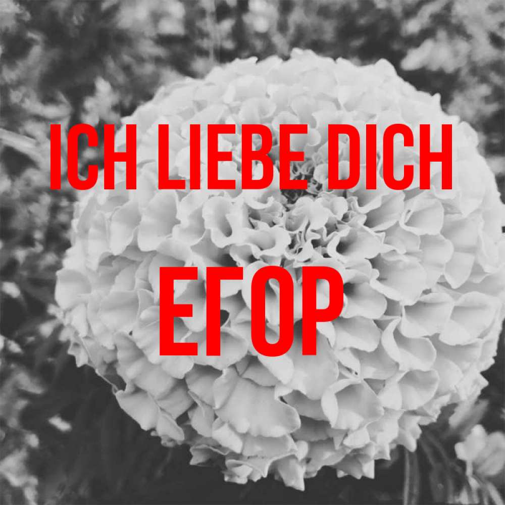 Открытка на каждый день с именем, Егор Ich liebe dich подпись Прикольная открытка с пожеланием онлайн скачать бесплатно 