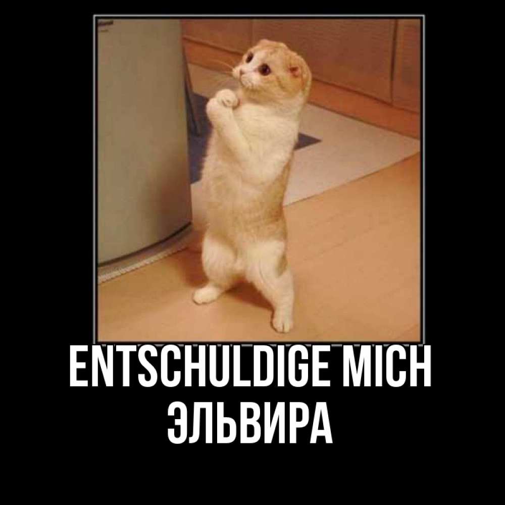 Открытка на каждый день с именем, Эльвира Entschuldige mich открытка с милым несчастным котиком просящим прощения Прикольная открытка с пожеланием онлайн скачать бесплатно 