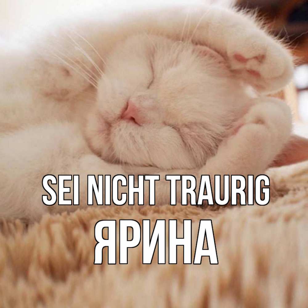 Открытка на каждый день с именем, Ярина Sei nicht traurig белый кот Прикольная открытка с пожеланием онлайн скачать бесплатно 