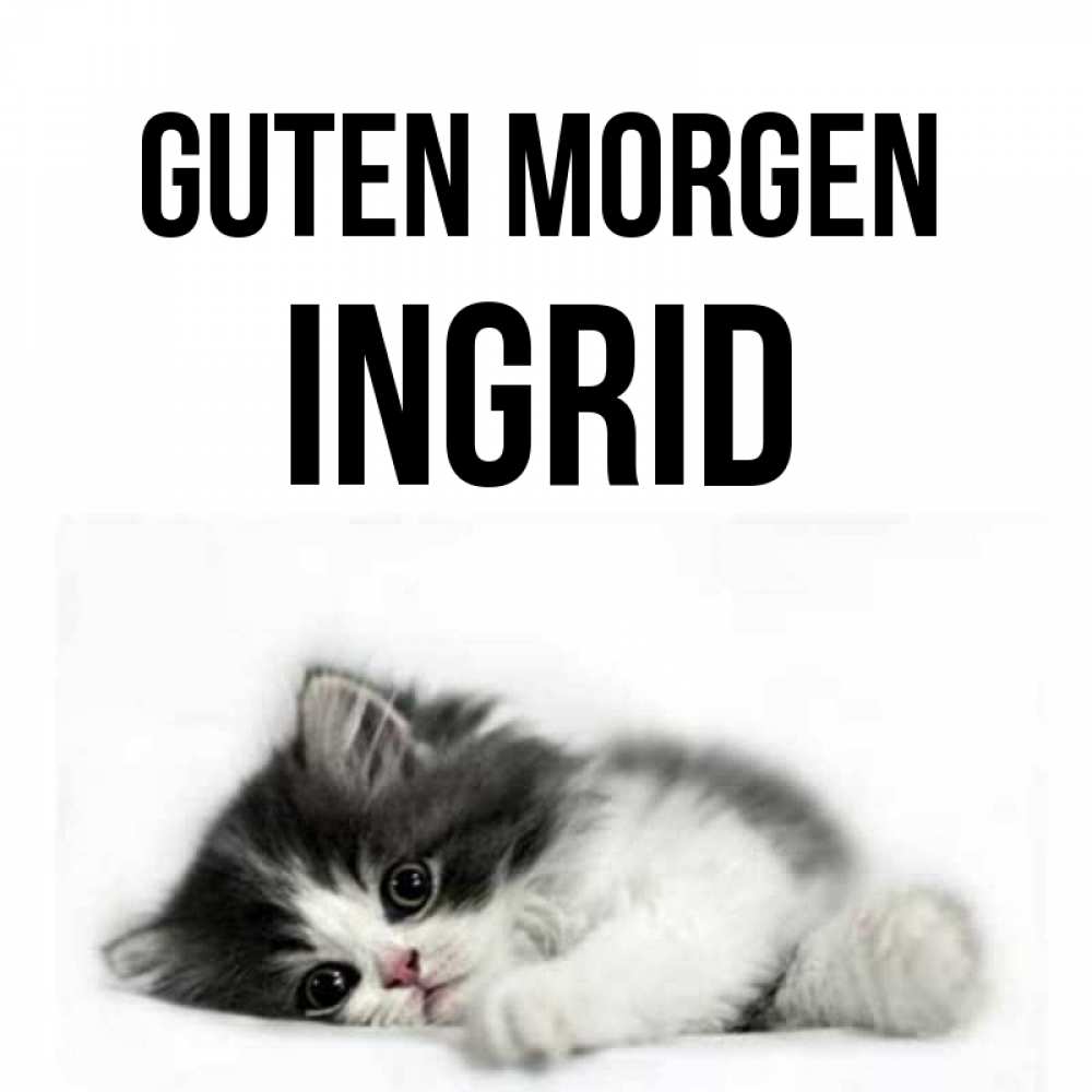 Открытка на каждый день с именем, Ingrid Guten Morgen кот лапки Прикольная открытка с пожеланием онлайн скачать бесплатно 