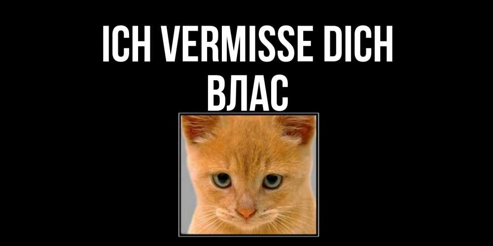 Открытка на каждый день с именем, Влас Ich vermisse dich открытки рыжий котенок скучает по тебе Прикольная открытка с пожеланием онлайн скачать бесплатно 