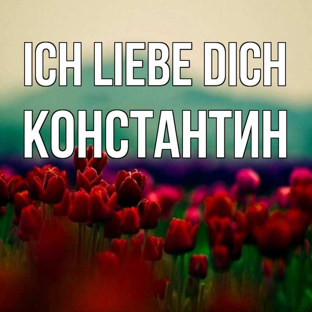 Открытка на каждый день с именем, Константин Ich liebe dich тюльпаны 4 Прикольная открытка с пожеланием онлайн скачать бесплатно 