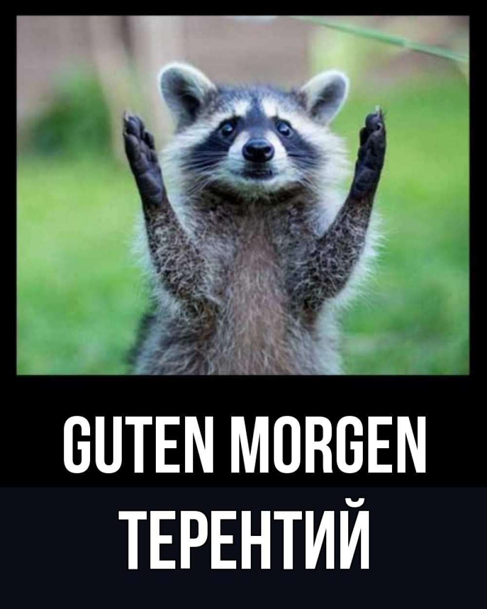 Открытка на каждый день с именем, Терентий Guten Morgen хорошее настроение утречком Прикольная открытка с пожеланием онлайн скачать бесплатно 