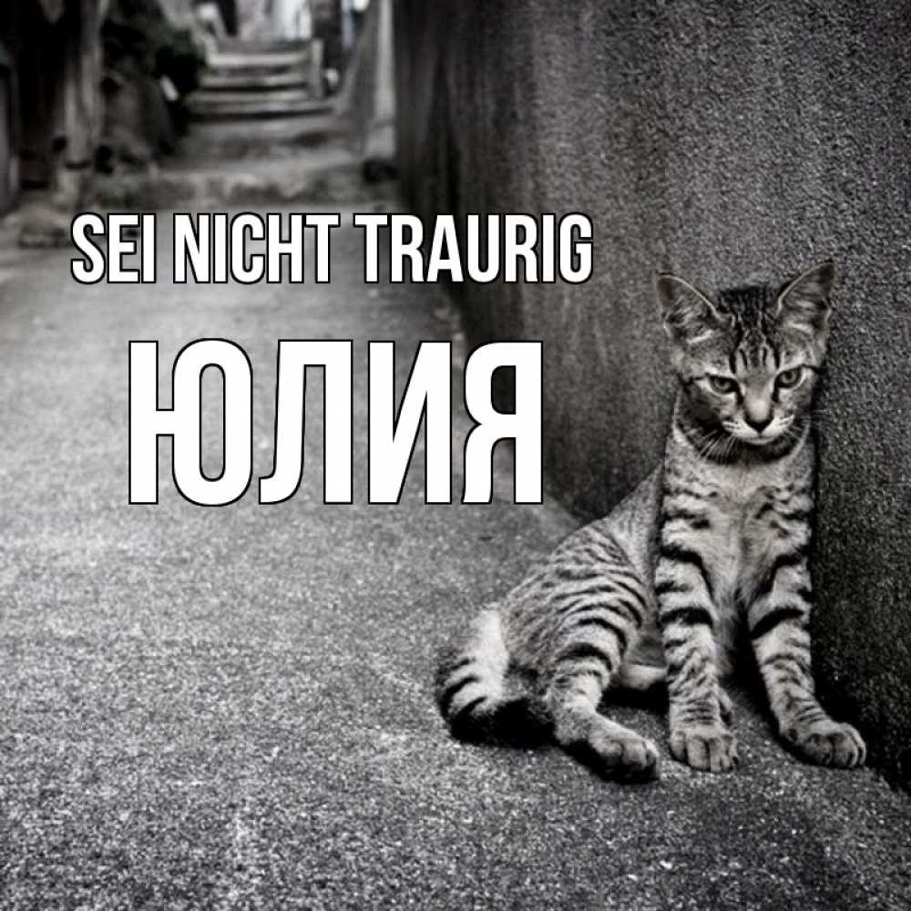 Открытка на каждый день с именем, Юлия Sei nicht traurig скучающий котик Прикольная открытка с пожеланием онлайн скачать бесплатно 
