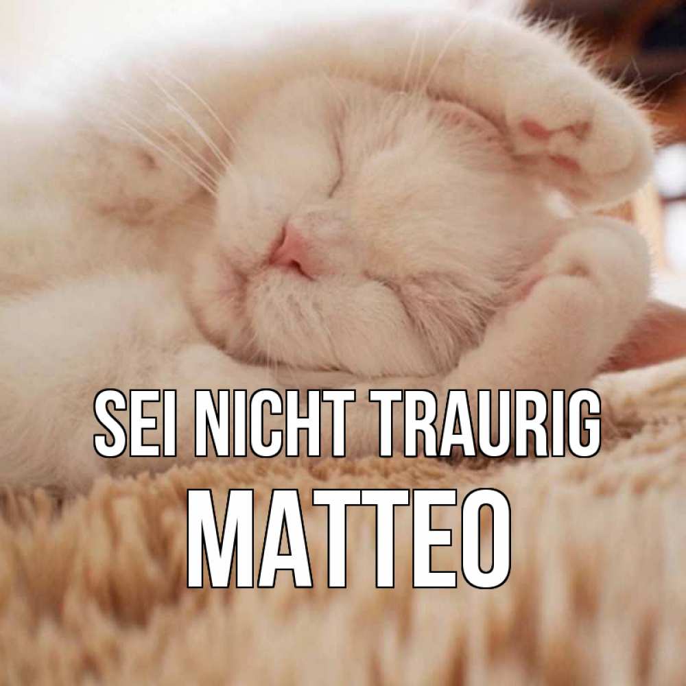Открытка на каждый день с именем, Matteo Sei nicht traurig белый кот Прикольная открытка с пожеланием онлайн скачать бесплатно 