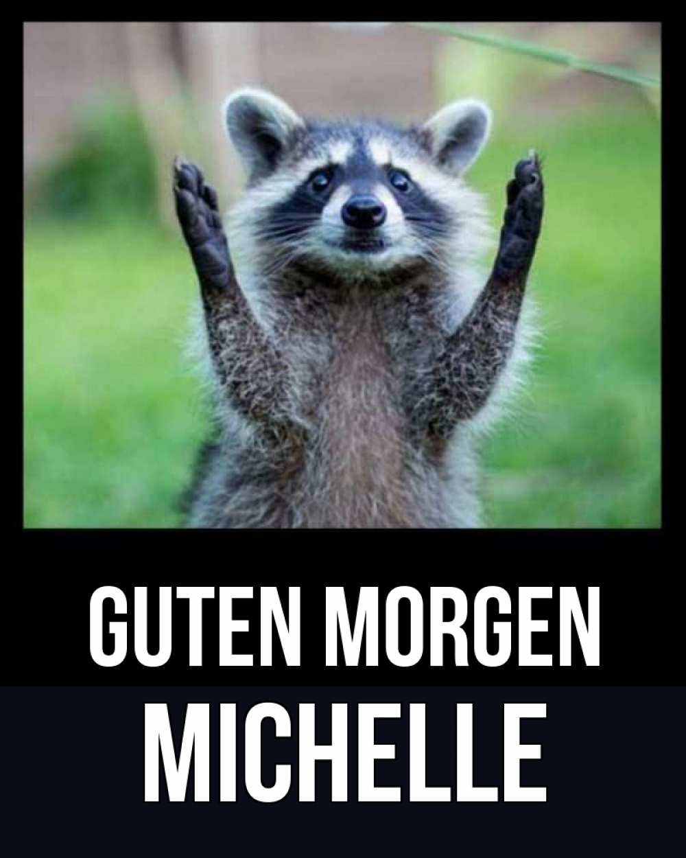 Открытка на каждый день с именем, Michelle Guten Morgen хорошее настроение утречком Прикольная открытка с пожеланием онлайн скачать бесплатно 