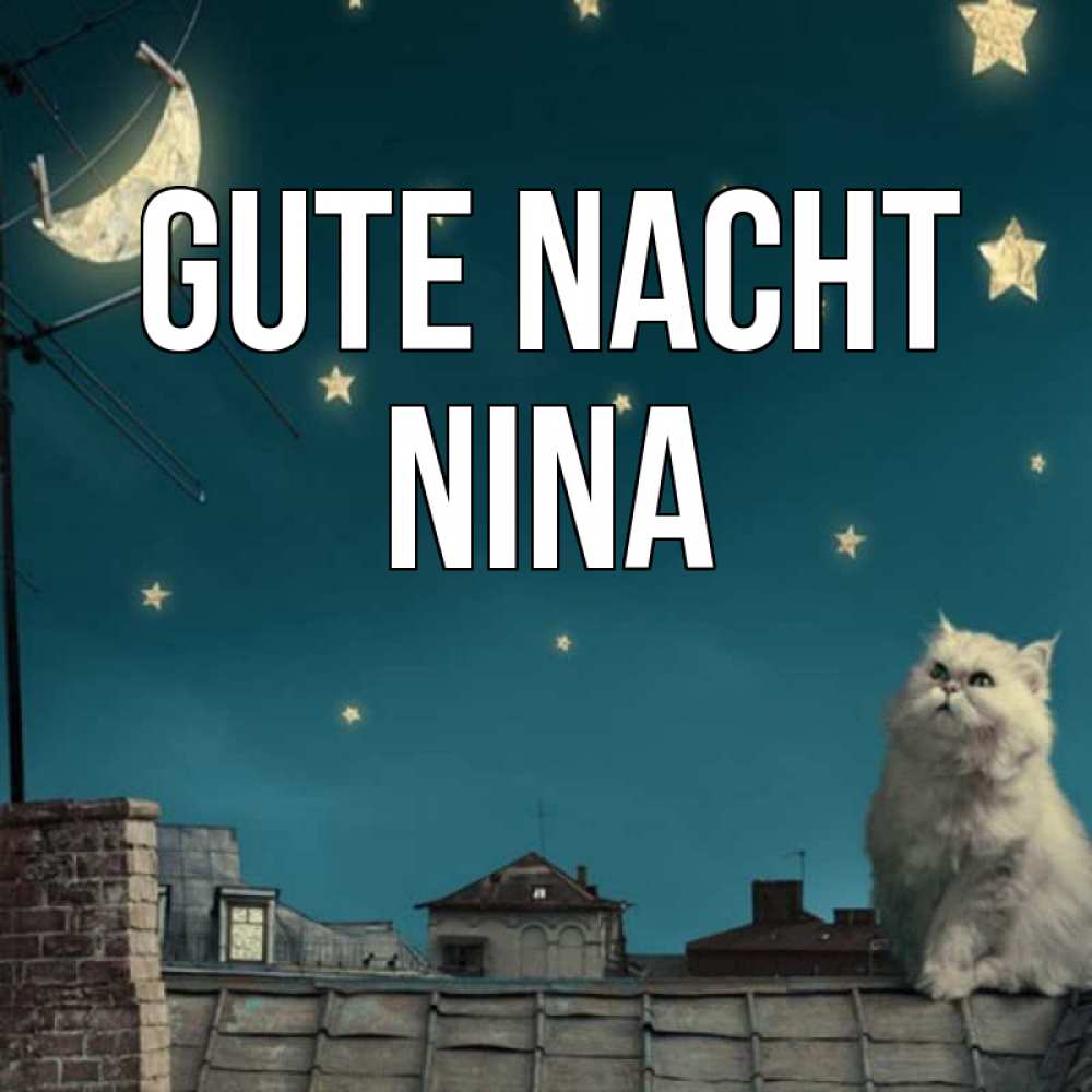 Открытка на каждый день с именем, Nina Gute Nacht белый кот сидит на крыше Прикольная открытка с пожеланием онлайн скачать бесплатно 