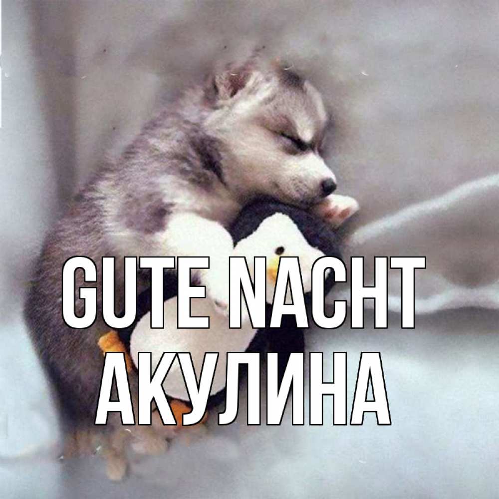 Открытка на каждый день с именем, Акулина Gute Nacht обнимашки щенка и пингвина Прикольная открытка с пожеланием онлайн скачать бесплатно 