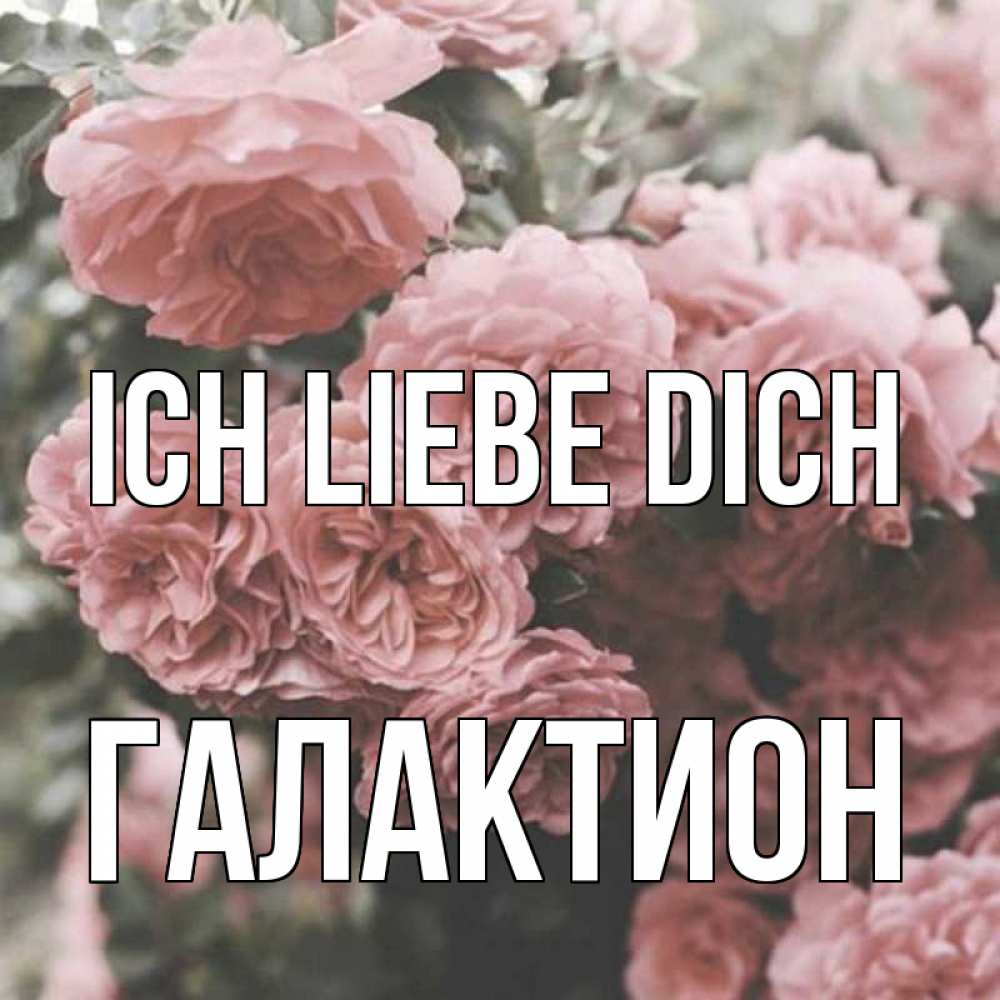 Открытка на каждый день с именем, Галактион Ich liebe dich розы 3 Прикольная открытка с пожеланием онлайн скачать бесплатно 