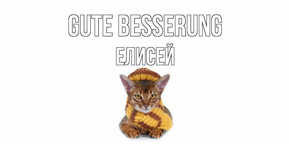 Открытка на каждый день с именем, Елисей Gute Besserung родные не болейте Прикольная открытка с пожеланием онлайн скачать бесплатно 